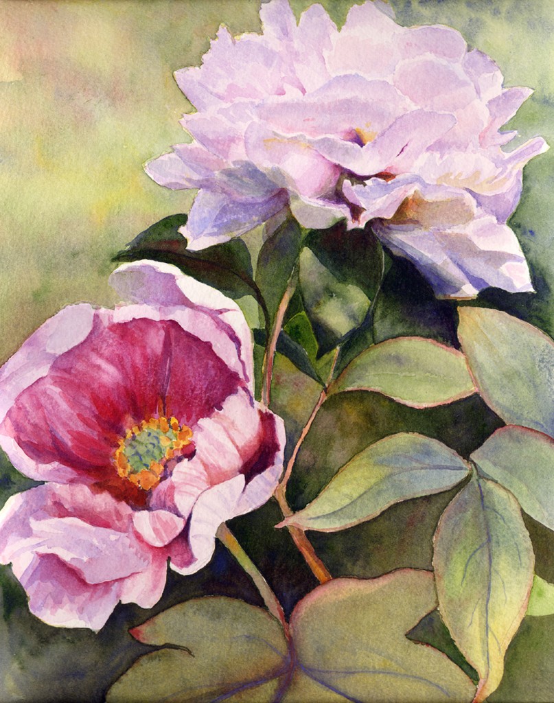 Garden Peonies