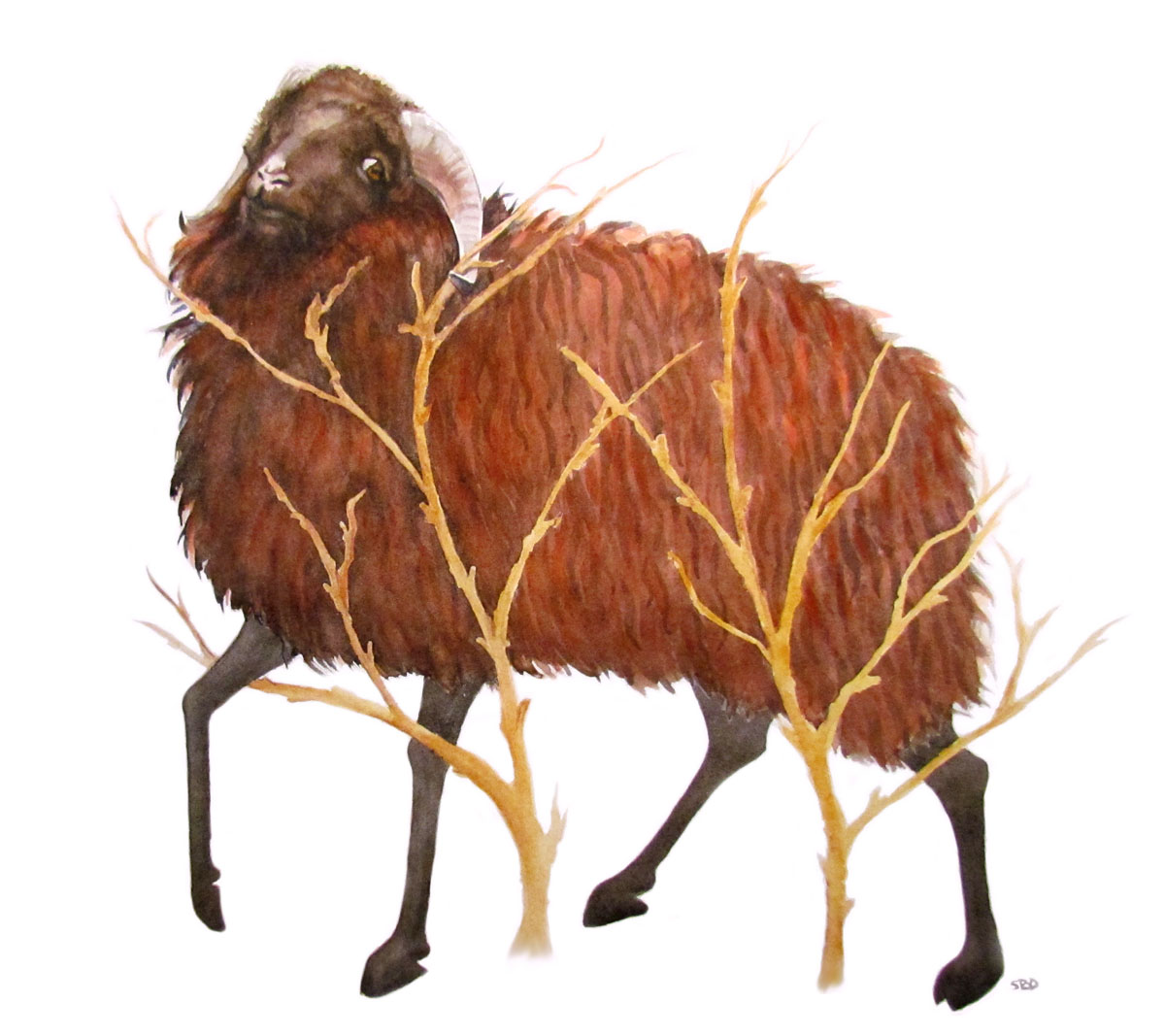 Abraham Looked at up and saw a Ram in a Thicket