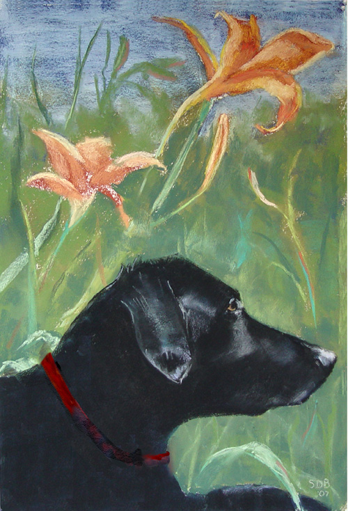 watercolor of a black labrador